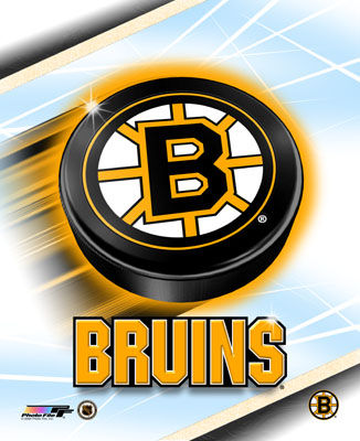 boston bruins logo 2011. Boston bruins logo