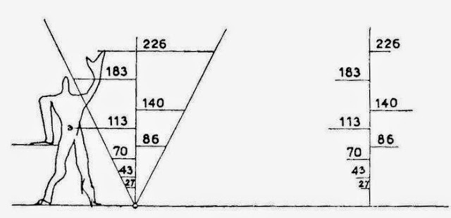 El modulor de Le Corbusier | Buscando la proporción perfecta | Le Modulor 1.83 metros | Serie Azul + Roja