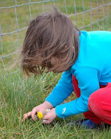 Rebecca picking dandelions