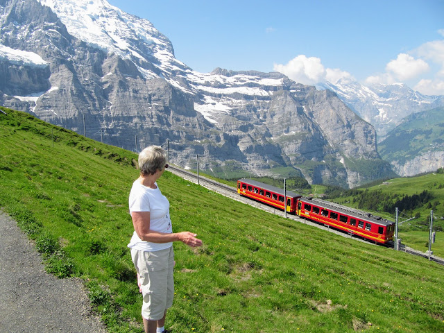 Jungfraujoch train, Bernese Oberland