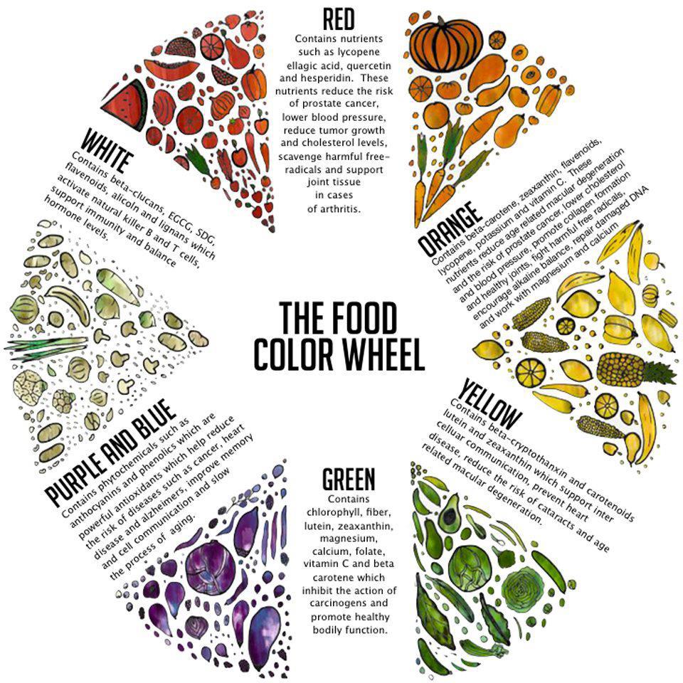 Go Nine Food Color Wheel Coloring Wallpapers Download Free Images Wallpaper [coloring654.blogspot.com]