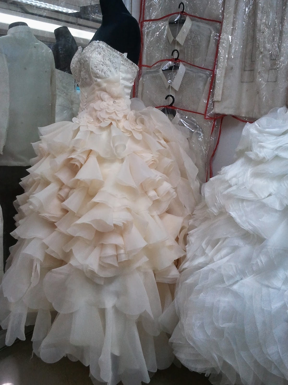 Our Journey to the Big Event Gown  Searching in Divisoria