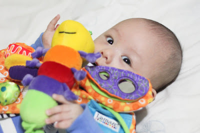 Lamaze Play & Grow Freddie The Firefly Take Along Toy