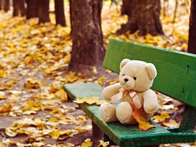 lovely-teddy-sitting-on-bench-collections
