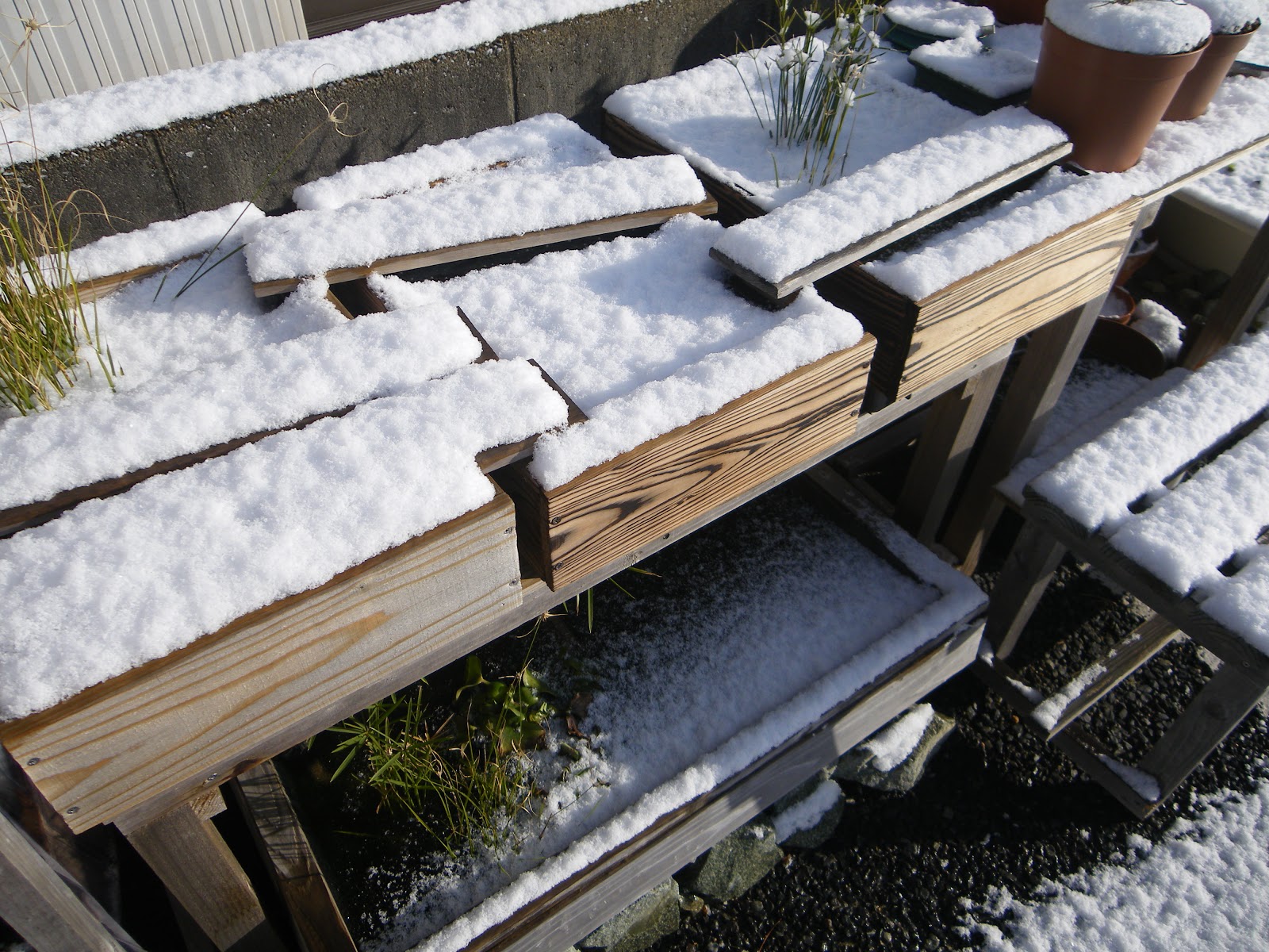 メダカのビオトープに屋根を製作 雨対策 夏の日差し対策 越冬対策 メダカの大工