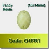 O1FR1 copy