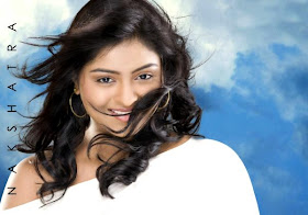 South India Actress Nakshtra Hot Photos