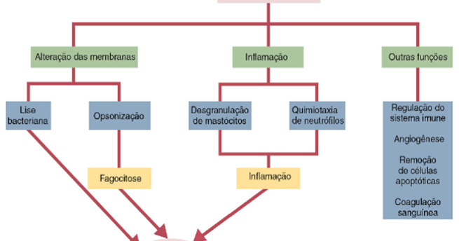 Sistema complemento - Imunologia; distúrbios alérgicos - Manuais MSD edição  para profissionais