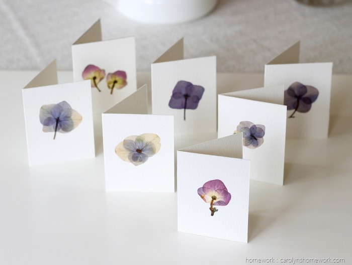 Pressed Hydrangeas via homework (9)