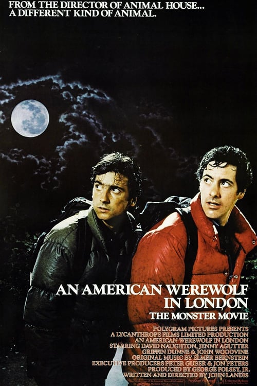 Un lupo mannaro americano a Londra 1981 Download ITA