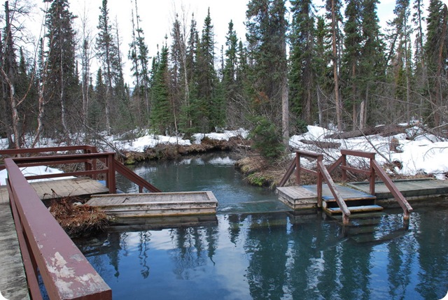 04-20-09 Liard Springs 010