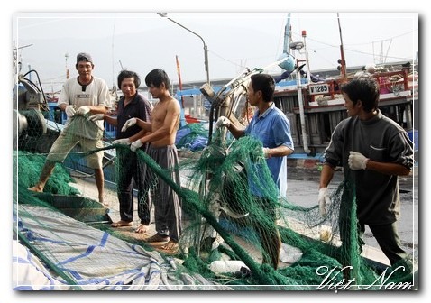 Cảnh Đẹp Việt Nam