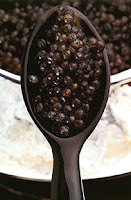 Beluga Caviar