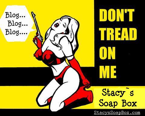 Stacy`s Soapbox