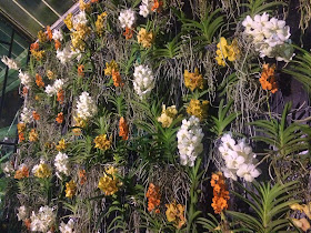 kew lates london 