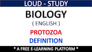 Protozoa Definition