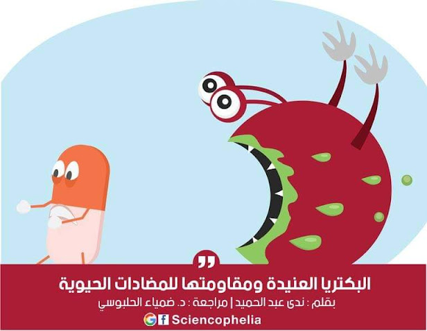 البكتريا العنيدة ومقاومتها للمضادات الحيوية - سينسوفيليا