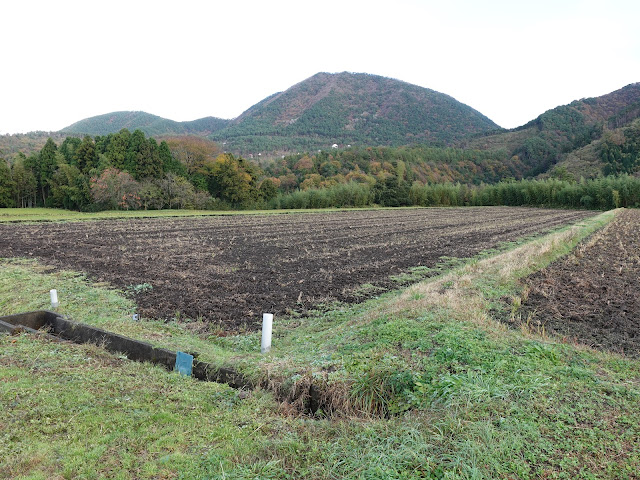 鳥取県西伯郡大山町赤松 農道 前に見えるのが孝霊山と麓の別荘地