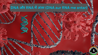 DNA और RNA में अंतर (DNA aur RNA me antar)