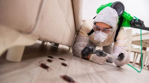 Pest Control