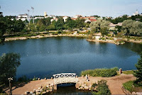 Kotka Picture