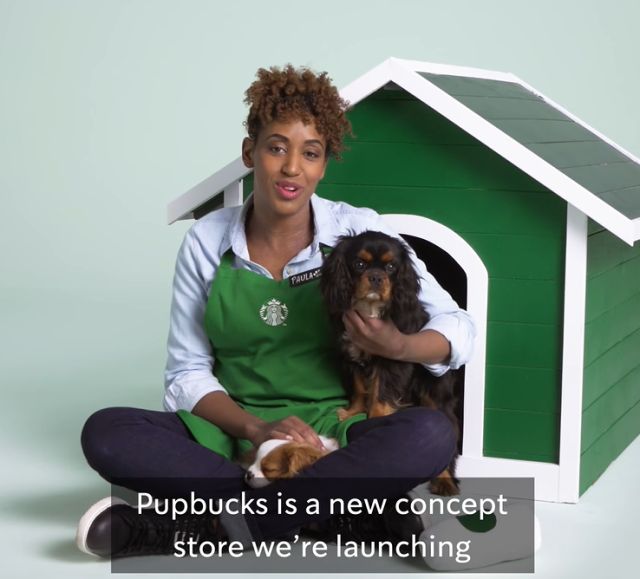 Starbucks Pupbucks concept.