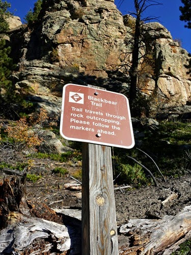 Golden Gate Canyon Bear Trail