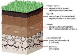 Soil Profile - Definition, Types, Layers, Moisture and Facts