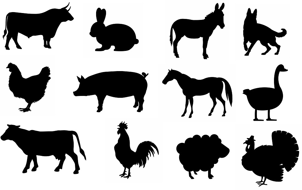 Download digitalfil: Farm Animal svg,cut files,silhouette clipart ...