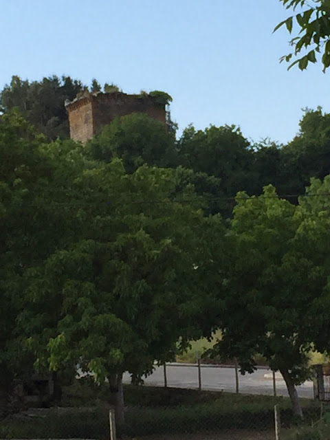 Spain, Marronda forest and the Eo River   by E.V.Pita (2015)  http://evpita.blogspot.com/2015/06/spain-marronda-forest-and-eo-river.html   Fraga de Marronda - río Eo (Baleira, Lugo)  por E.V.Pita (2015)