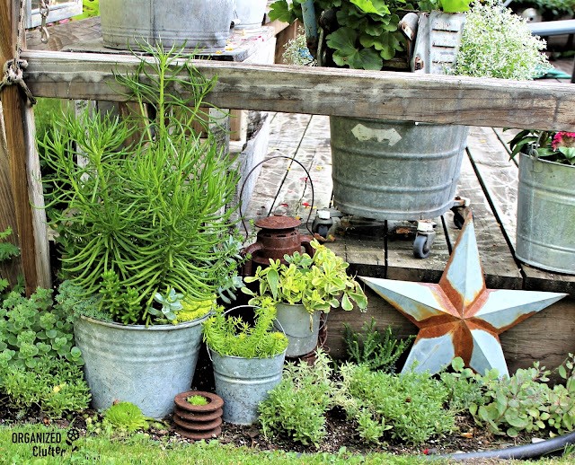 Photo of junk gardening ideas along my deck.