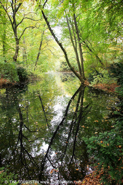 A still body of water in a thick forest in brightly coloured autumn foliage, which is reflected in the water.