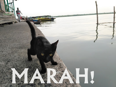 marah