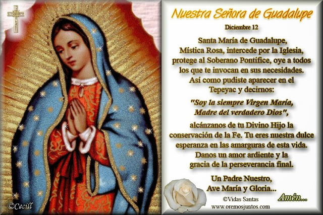 Imagen Con Oración A Nuestra Señora De Guadalupe