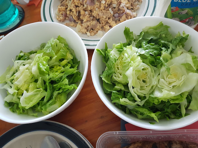 Two Bowls of Lettuce