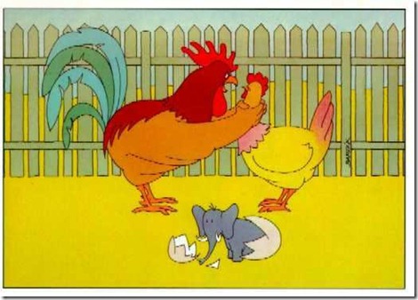 chicken and egg