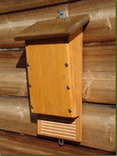 bat-box-per-pipistrelli..lotta-biologica-alle-zanzare189