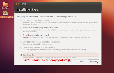 Ubuntu 12.10