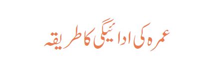 Labbaik Umrah How to Perform Umrah Complete Guide Free Download in Urdu