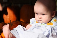 IMG_9550