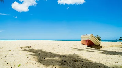 Papel de Parede Canoa na Praia