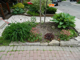 by Paul Jung Gardening Services--a Toronto Gardening Company new front makeover in Wychwood before