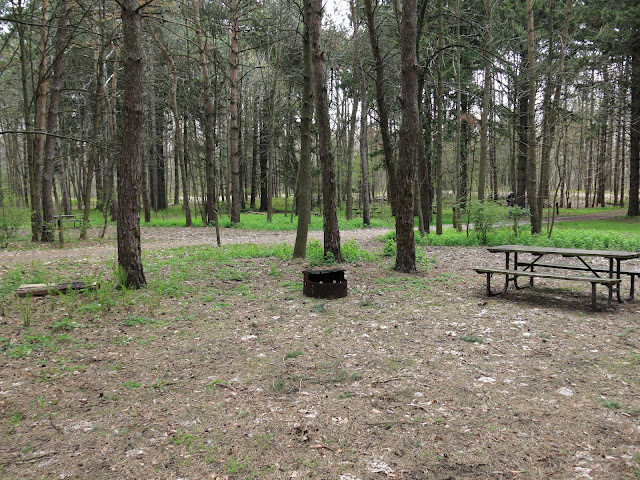 Presqu'ile Ontario Provincial Park, site 164