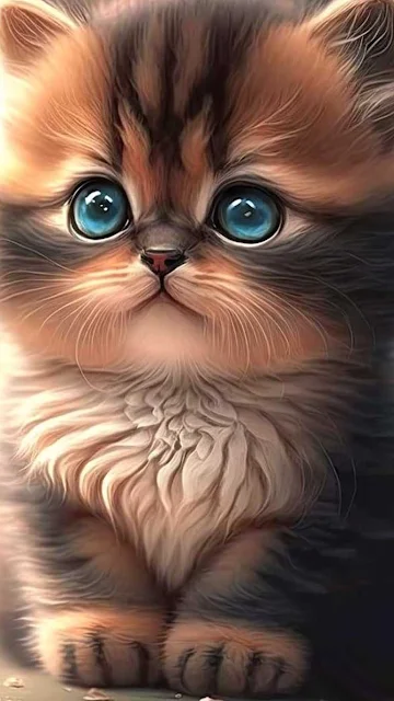 Fluffy Brown And White Kitten iPhone Wallpaper