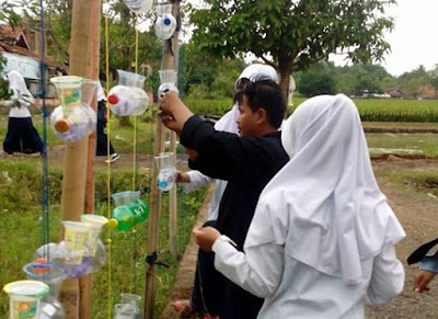 Urban Hidroponik, Jasa Pelatihan Hidroponik