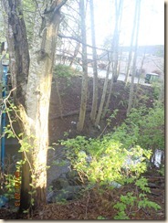 P4200610