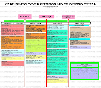 CONCURSEIRO GUERREIRO: CABIMENTO DOS RECURSOS NO PROCESSO 