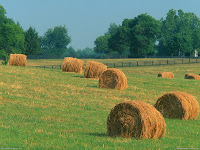 Farms Fields HD Desktop Wallpapers