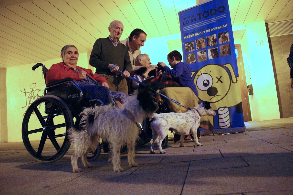 Ancianos de una residencia experimentan una jornada en contacto con perros abandonados