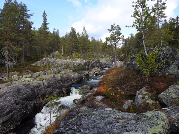 vassfarstien strøselve